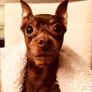 Meet your Posher, Diane